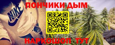 крисы Краснознаменск