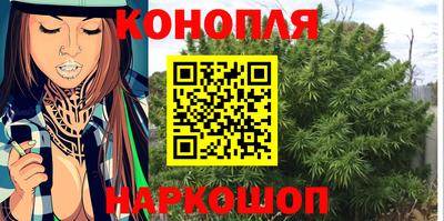 крисы Краснознаменск