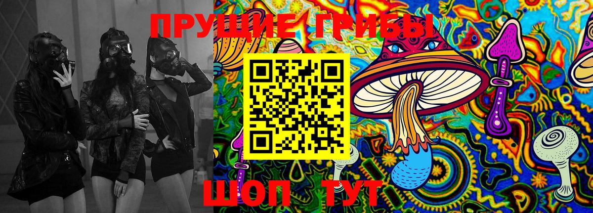Псилоцибиновые грибы GOLDEN TEACHER Гусиноозёрск